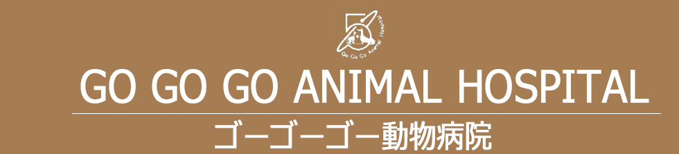 ゴーゴーゴー動物病院